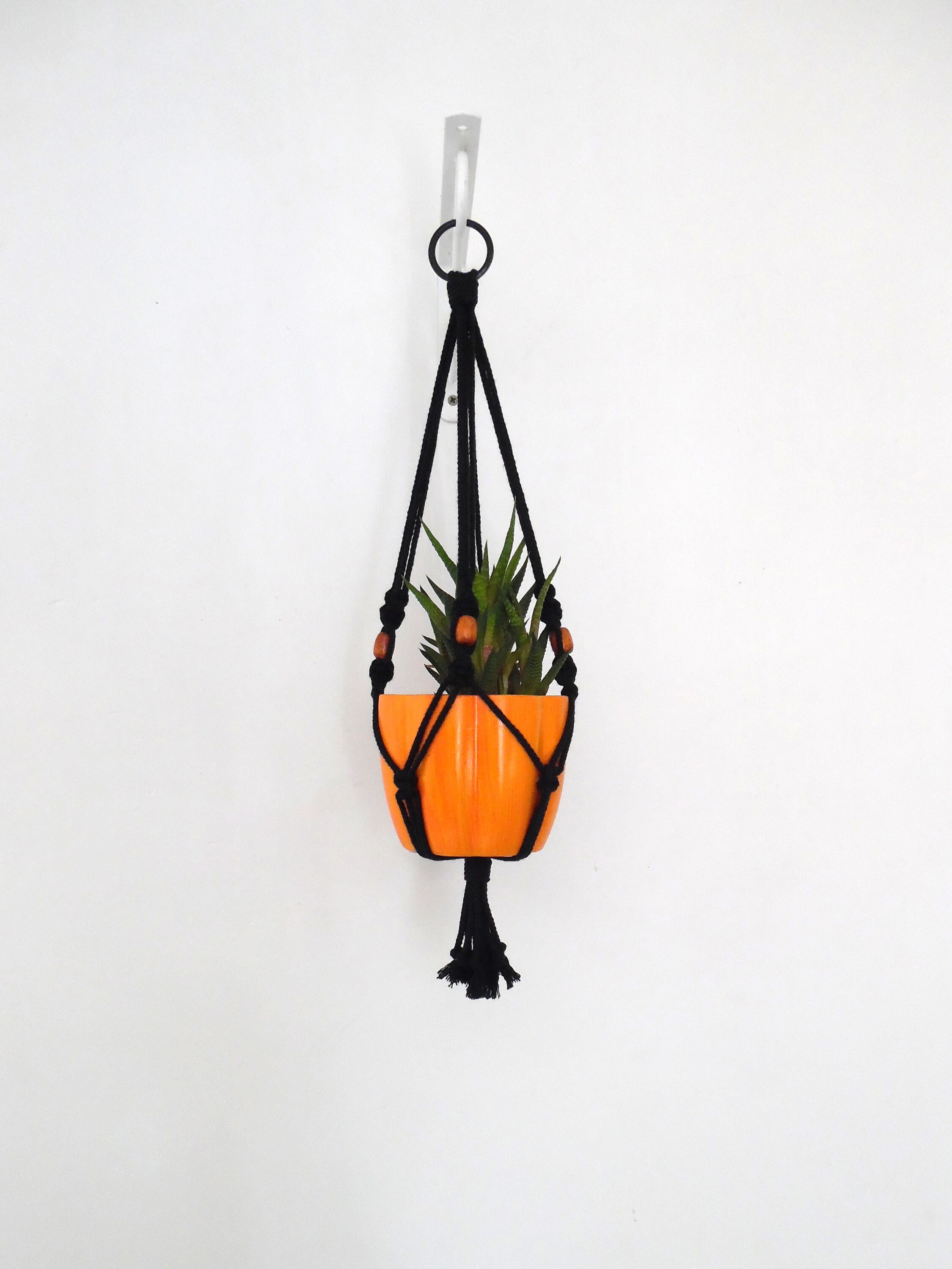 Suspension Pour Plante - Kordenno