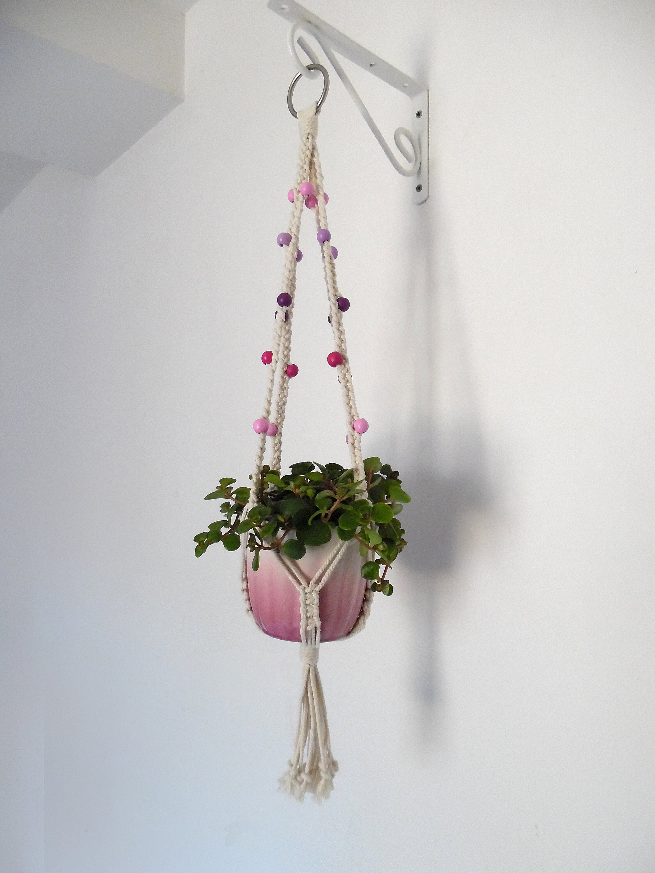 Suspension Pour Plante - Clématite