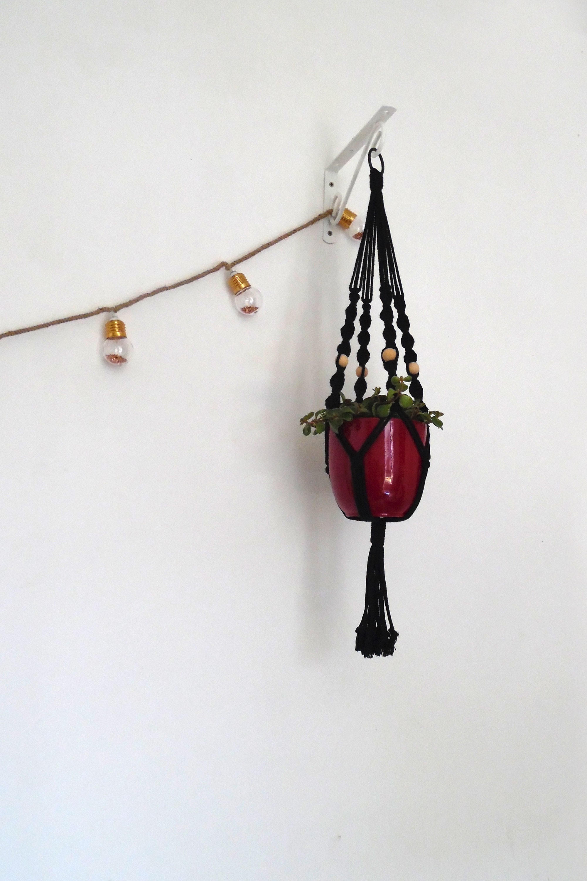 Suspension Pour Plante - Campanule | Noir