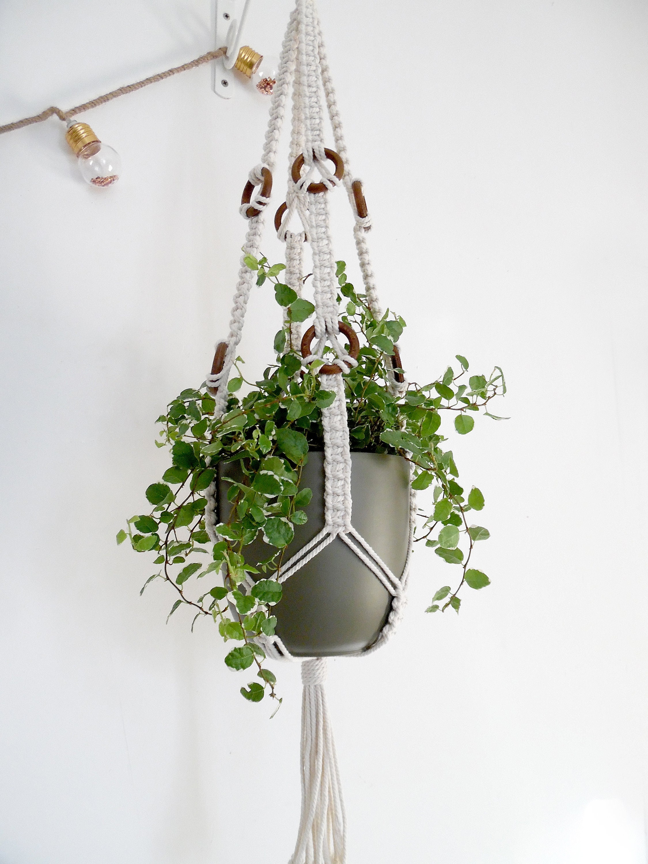 Suspension Pour Plante - Cannelle