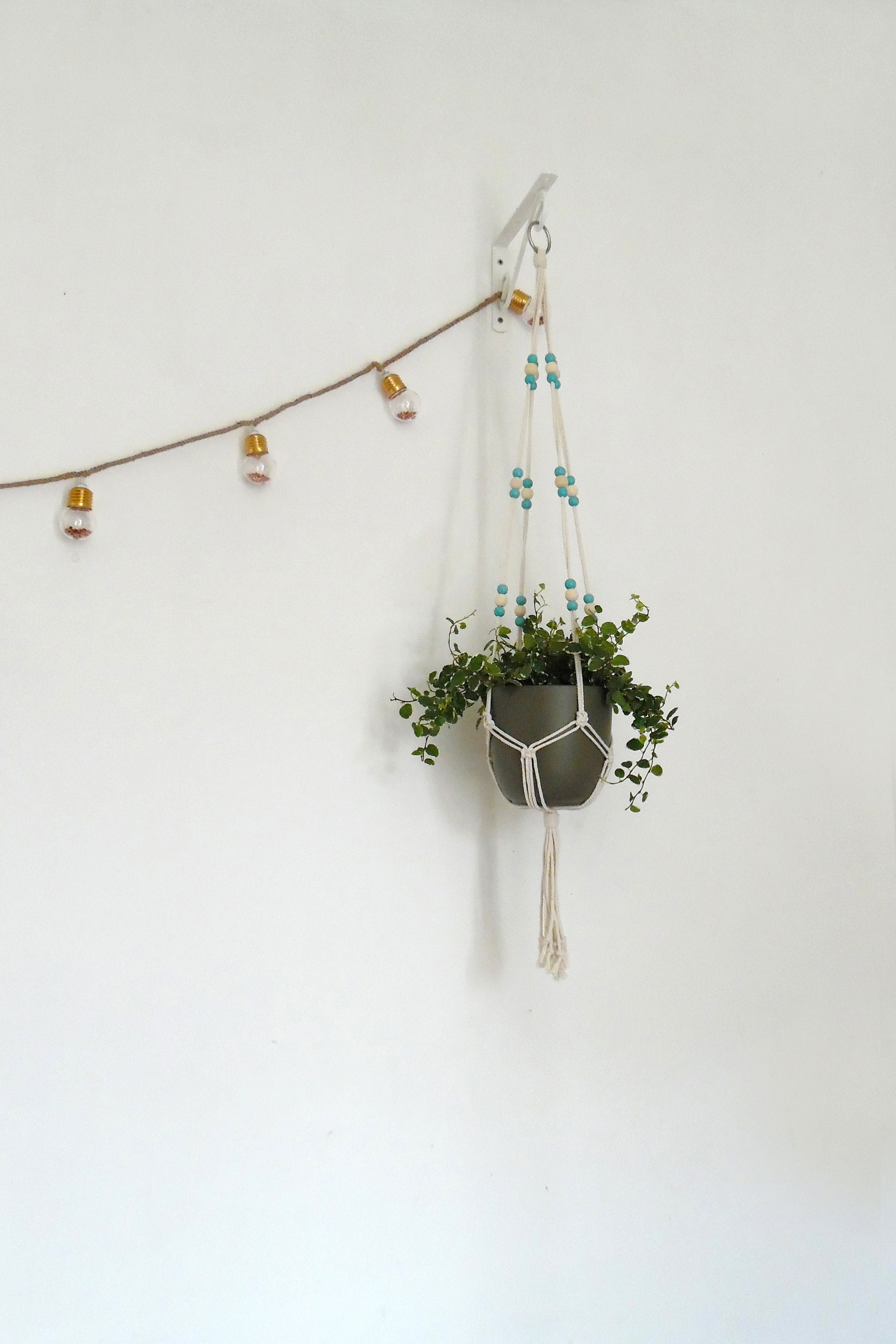 Suspension Pour Plante - Lobélie