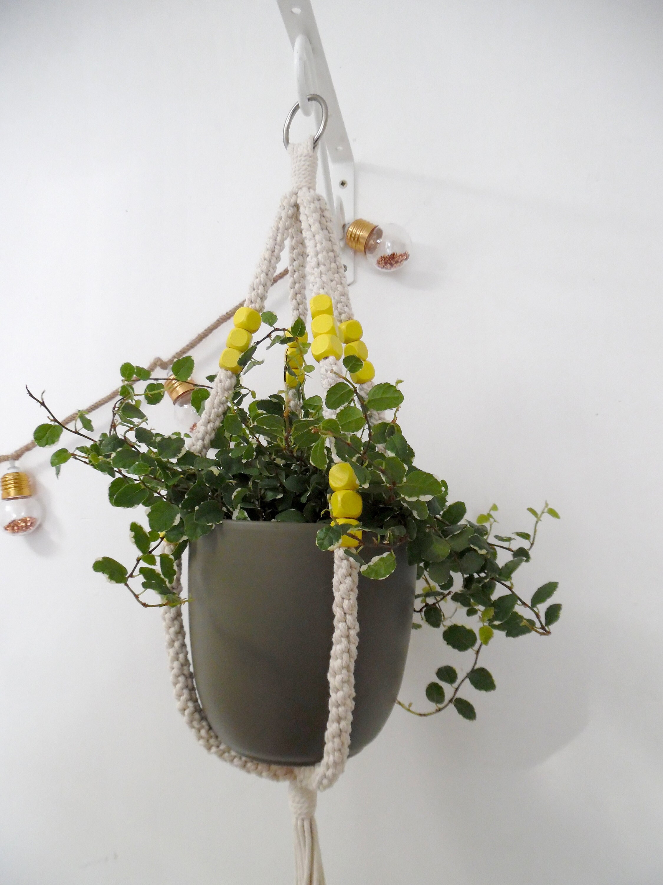 Suspension Pour Plante - Banane