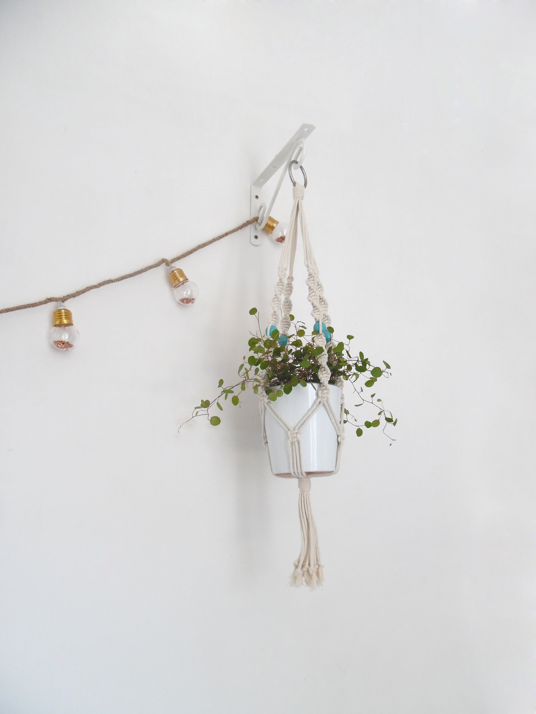 Suspension Pour Plante - Campanule