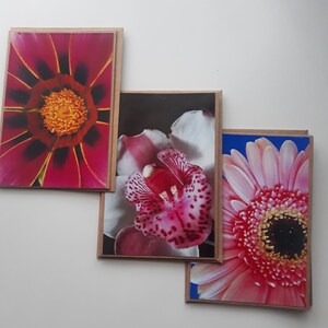 Set of 3 hand made cards