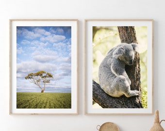 Australian Prints, Digital Downloads, Koala Print, Australian Farm Photography Set, Country Australian Print Set. Koala Bear.