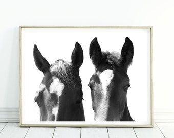 Horse Black and White Print, Horse Photography Print, Digital Download, Black Horse Wall Art Decor Prints