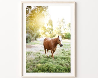 Horse Print, Digital Horse Art Print, Brown Horse Photography Art Print, Country Horse Art Print, Instant Printable Digital Horse Print