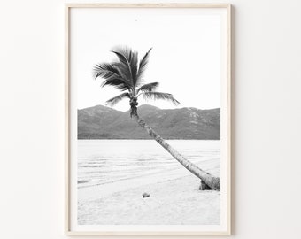 Black and White Photography Print, Digital Download Print, Palm Tree, Black and White Beach Coastal print. Coconut Palm tree Beach Prints.
