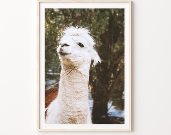 Stampa artistica di alpaca, download di arte digitale, stampa di lama e alpaca in stile boho, stampa fotografica di alpaca, arte murale boho boho