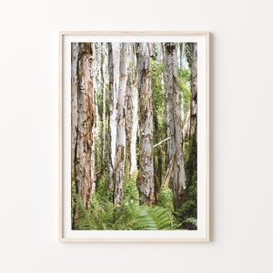 Paper Bark Bush Trees, Digital Print, Printable Download, Paper Bark Tree Australian Bush Trees. Australia Art.