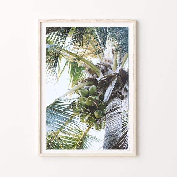 Coconut Tree Print, Digital Download, Coastal Photography Palm Tree Print, Beach Coconut Tree Art Print.