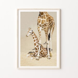 Giraffe Print, Digital Giraffe Print, Baby Giraffe Photography Print, Printable Download, African Photography Animal Print, Africa Wall Art