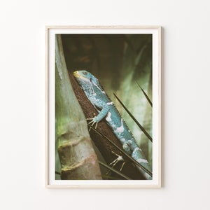 Chameleon Lizard Poster Print, Lizard Reptile Art Print, Digital Download Print. Printable Chameleon Art print.