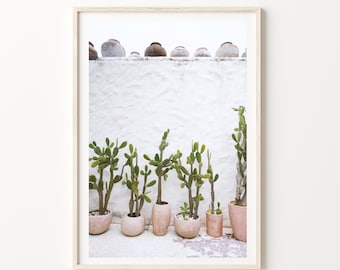 Cactus Plants Poster, Digital Print Download, Boho Photography Print, Cactus Wall Print, Cactus Decor, boho Art Print.