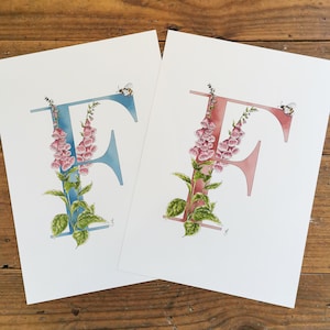 F es para Foxglove Impresión Giclée A4 con una letra F azul o rosa, dedaleras y un abejorro. Para cualquier persona cuyo nombre comience con F o para una guardería.