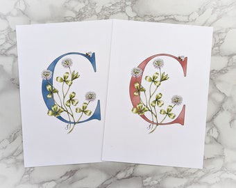 C is for Clover, pink or blue initial artwork. Lovely in a child's room, a coloured letter C with intertwined clover / shamrocks and a bee.