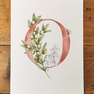 O es de oliva, estampado de letras con forma de flor. Una letra O azul o rosa con una rama de olivo entrelazada y un abejorro. Preciosa para la habitación de un niño.
