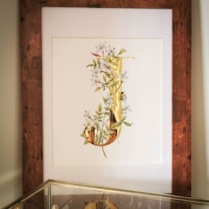 Impresión giclée iluminada con la letra J de jazmín. Letra J de oro de 23,5 quilates con jazmín y abejorro, extraída de mi pintura original.