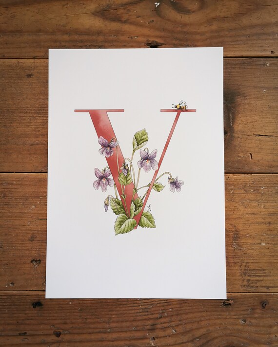 V is for Violet, Flower Letter Print. A Print of My Painting With a Blue or  Pink Letter V, Intertwined With Violets and a Bumblebee. - Etsy