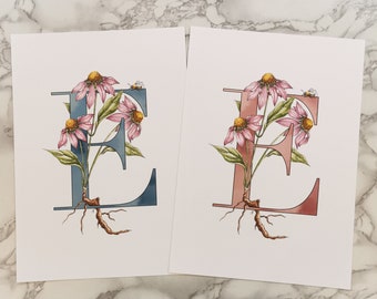 E is for Echinacea coloured initial print. A pink or blue letter E with intertwined echinacea flowers and a bumblebee. Lovely in a kids room