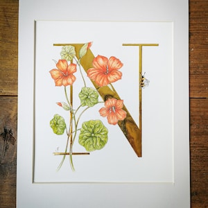 Impresión iluminada con la letra N de Nasturtium. Una letra N aplicada a mano en pan de oro de 23,5 quilates con capuchinas naranjas y un abejorro. La inicial N