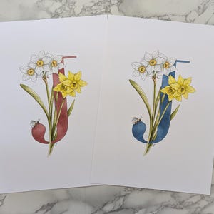 J é para impressão de letras coloridas Jonquil. Uma letra J rosa ou azul com flores Jonquil entrelaçadas e uma abelha. Pode ser personalizado.