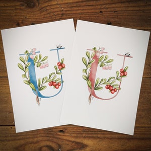 Letras U de Uva Ursi a color. Ideales para la habitación de un niño o una guardería, con la letra U rosa o azul entrelazada con una Uva Ursi y una abeja.