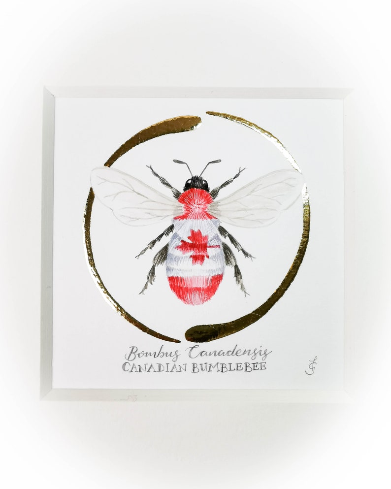 Proud to Bee Canadian Original illuminated gouache painting. A b Proud to Bee Canadian Original illuminated gouache painting. A b