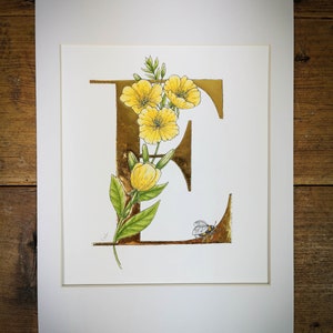 E es para Onagra iluminada Impresión giclée. Una impresión de mi pintura original con pan de oro aplicado a mano, que muestra onagra.