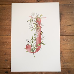 Impresión giclée con la letra J de jazmín. Una letra J azul o rosa con un jazmín creciendo a través de ella y un abejorro. Hermosa para la habitación de un niño o una guardería.