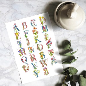 Lámina del alfabeto de flores. El alfabeto en letras rosas y azules con sus correspondientes flores entrelazadas, extraído de mis pinturas originales.