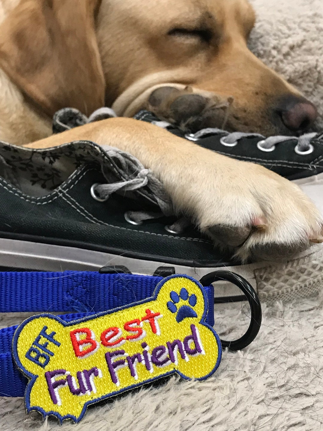 Best Fur Friend Dog Collar Accessory Bark Badge Etsy UK