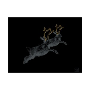 Dark Jackalope Posters