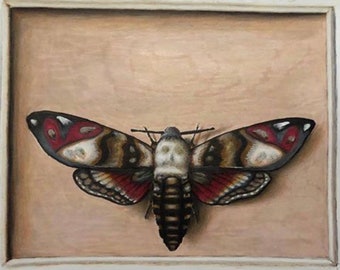 Moth, Original Artwork