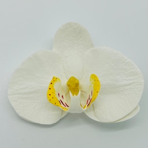 Broche de orquídea Broche de flor blanca Clip de pelo de orquídea blanca Clip de pelo de flor hawaiana Clip de pelo tropical Barrette de flores de boda de playa