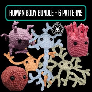 Human Body Bundle - 6x Crochet Patterns