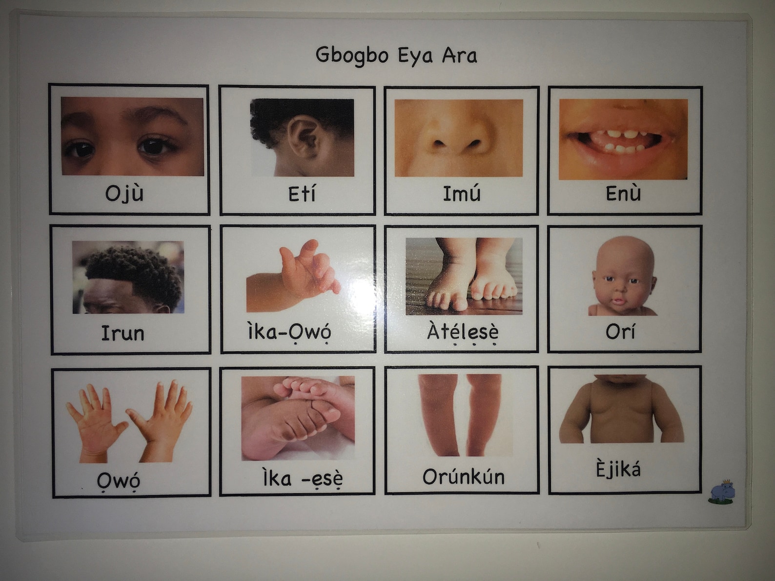 Yoruba Body Parts, Learn Yoruba, Eya Ara, Yoruba Alphabet, Nigerian Alphabet, Flashcards, Home