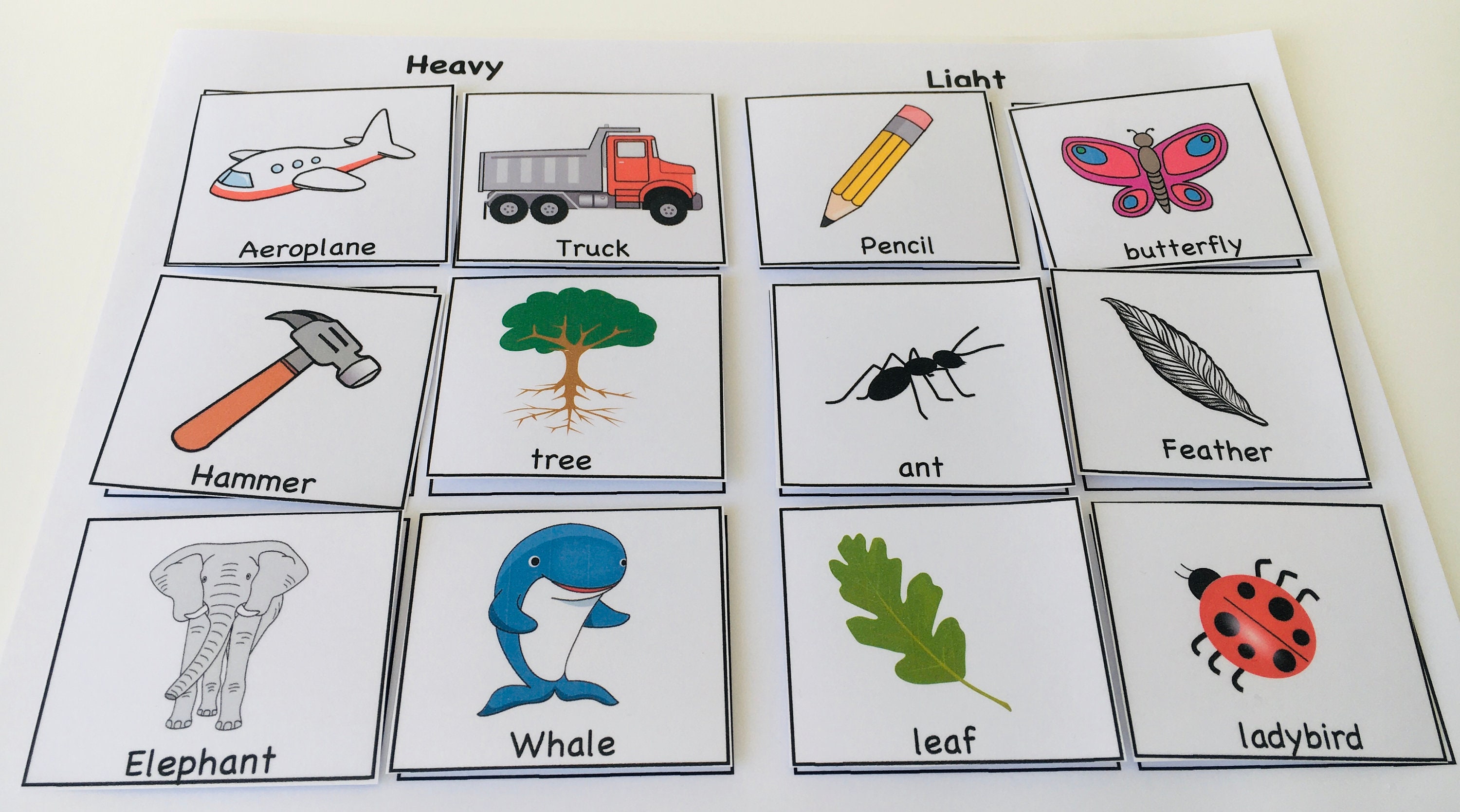 Clasificación, Objetos pesados o livianos, Carpeta ocupada, Actividad
