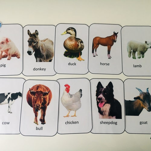 Farm Animal Flashcards Flash Cards Learn Animals Animal - Etsy Singapore Farm Animal Flashcards Flash Cards Learn Animals Animal - Etsy Singapore