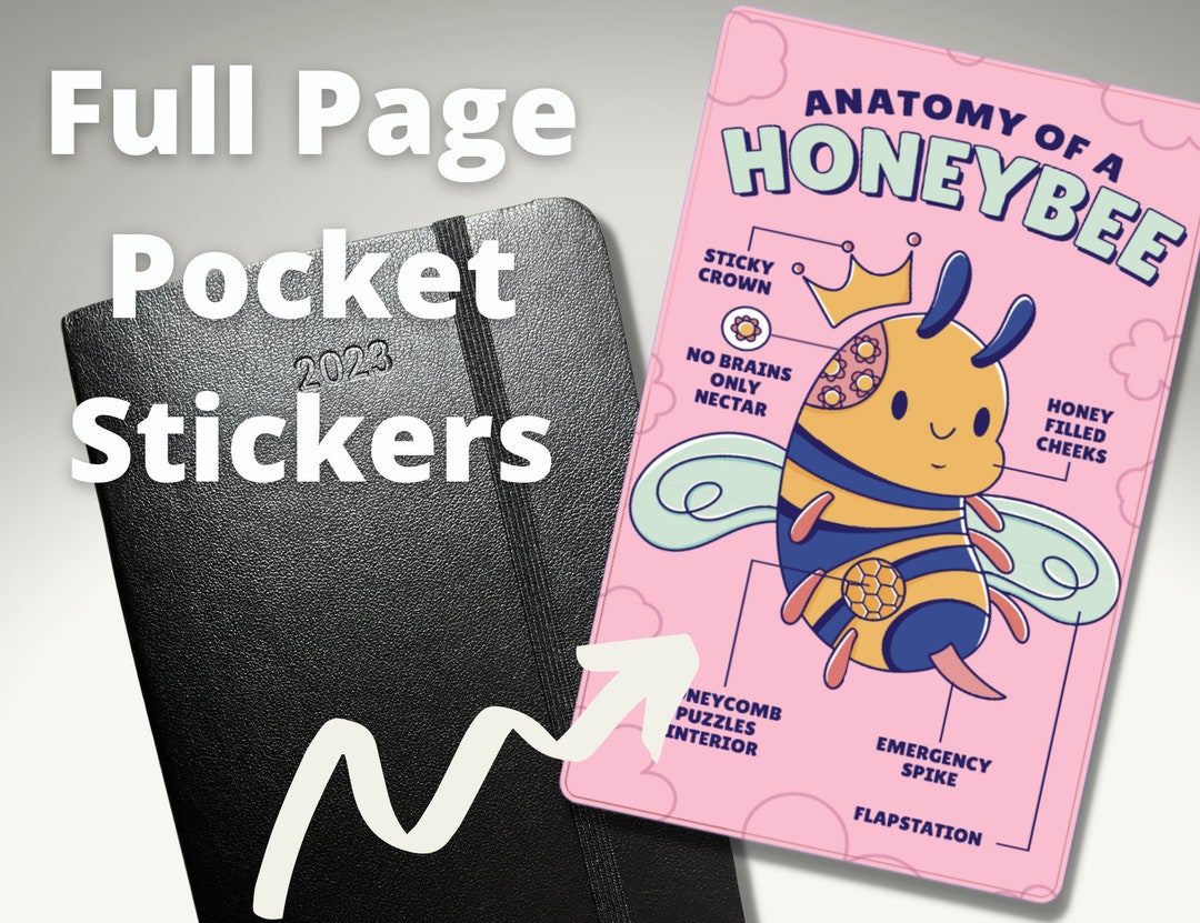 Anatomy of a Honeybee Moleskine Pocket Full Page Sticker Etsy