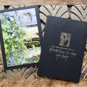 Spring Stone - Ballinrobe Priory - County Mayo Ireland - Handmade Irish Greeting Card - Ruins - Irish History - Blank Inside