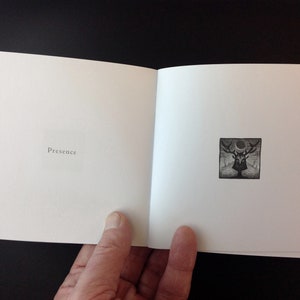 LIMINAL: 'Phases' Artist's book, signed limited edition. image 5