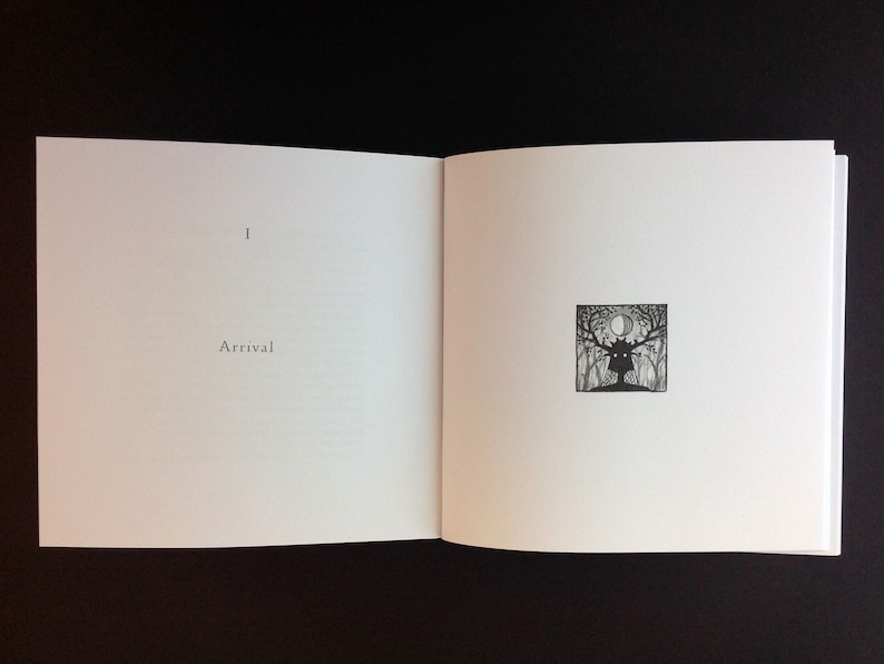 LIMINAL: 'Phases' Artist's book, signed limited edition. image 4