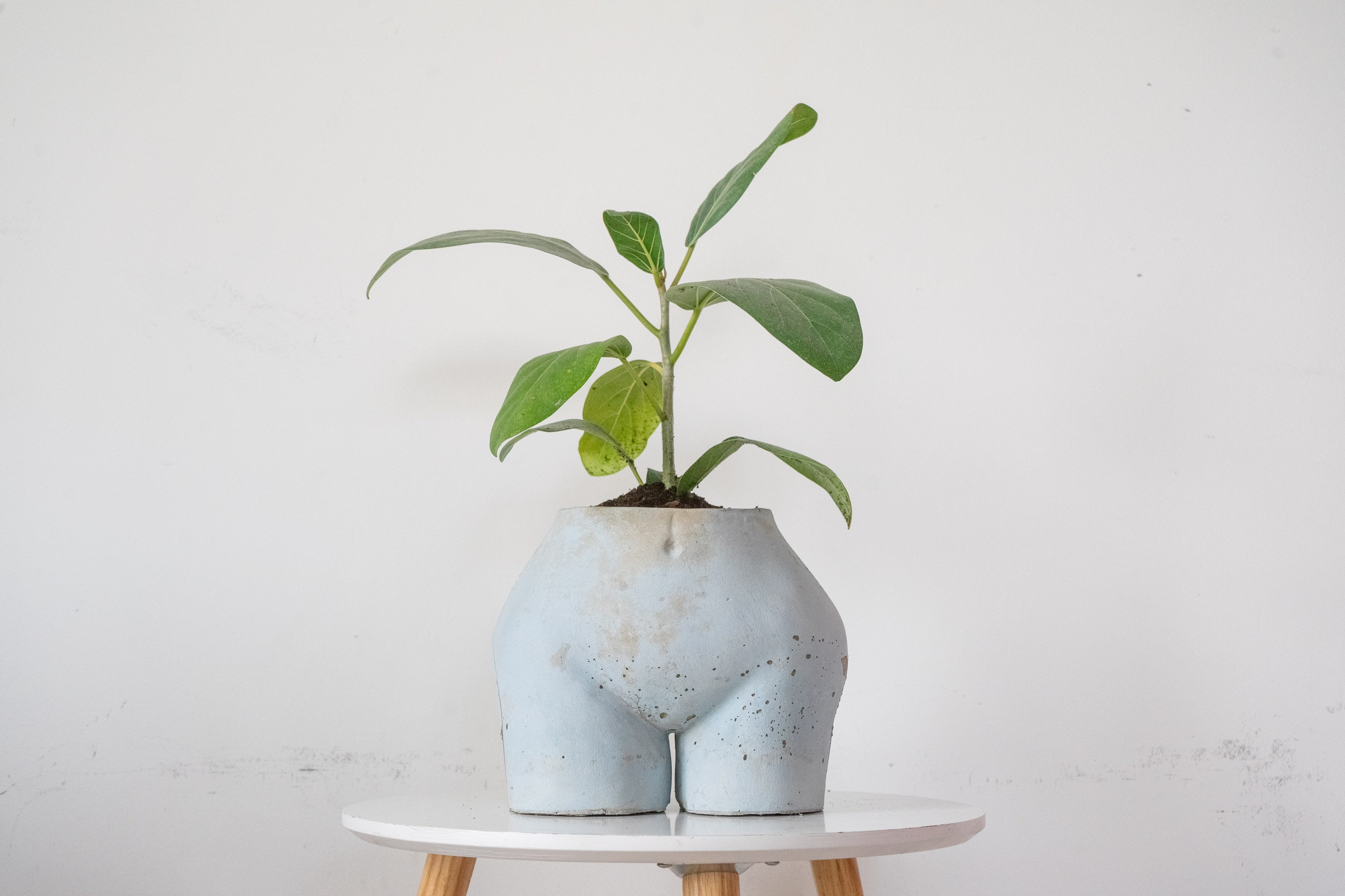 Handmade Concrete Bum Plant Pot Bum Vase Etsy