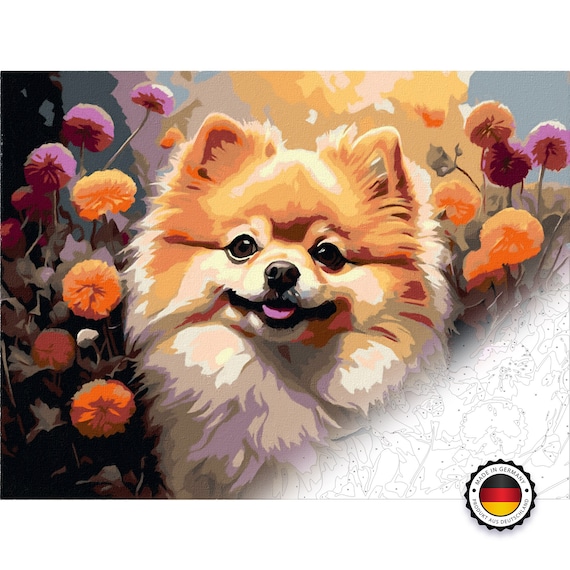 Paint by Numbers Pomeranian Spitz in Dandelions Painting Set for Adults 