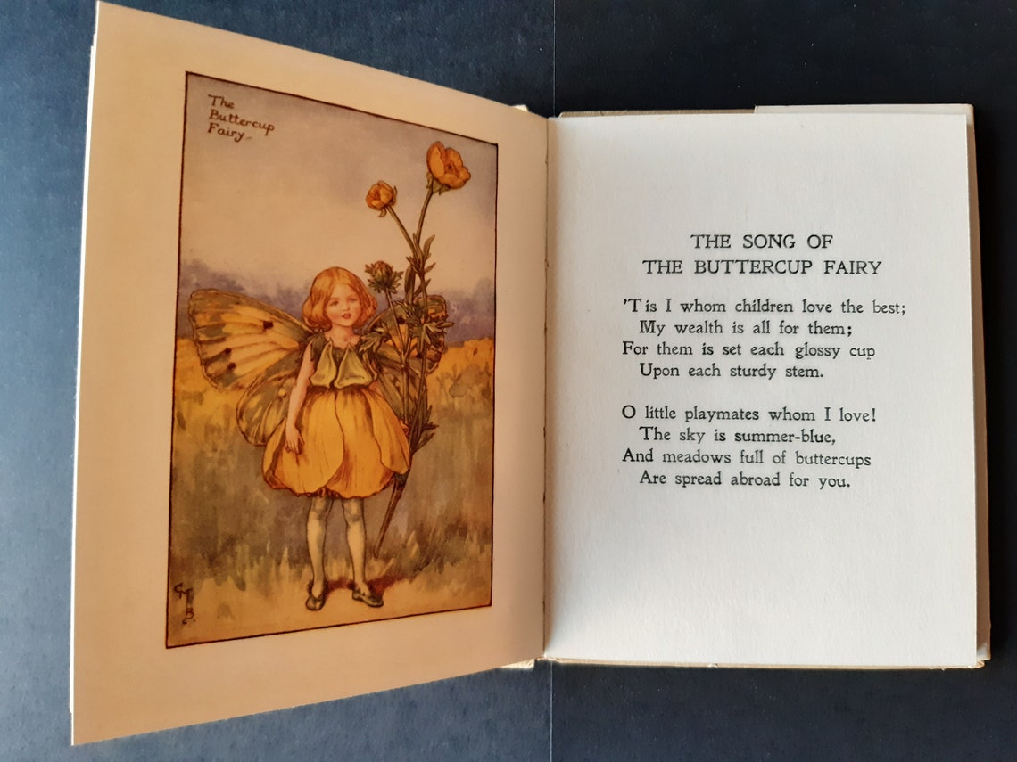 flower fairies of the spring first edition flower fairies of the spring first edition