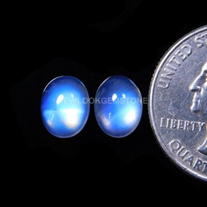 May include: Two oval-shaped blue moonstone cabochons, each approximately the size of a US quarter.