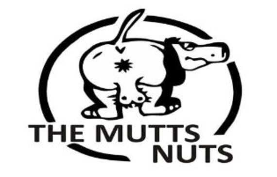 louis vuitton dog harness and leash