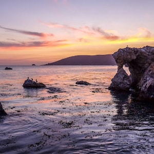Pirates Cove. Central California.