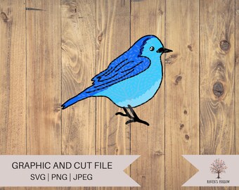 Bluebird SVG  Kawaii Graphic JPEG PNG, Blue Bird Digital Download, Commercial Licence Design